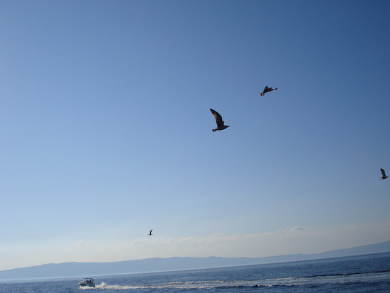 137 Wieder Besuch von den Moeven