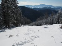 03 diesen Schlag fuhr ich gestern bereits ab