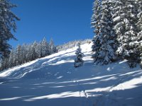 04 der obere Schlag mit der Spur von gestern