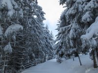 05 einfach schoene Winterlandschaft