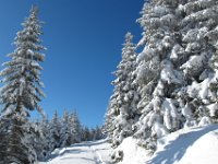 07 ich komme zur Wiese