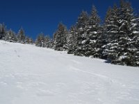 08 die Spur von gestern