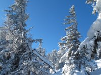 09 weiter zum Gipfel