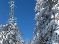 11 ich habe mein Ziel bald erreicht