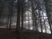 002   bei einem Blick nach oben sehe ich bereits blauen Himmel