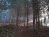 003   es wird immer lichter