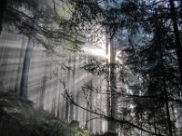 006   ein herrlicher Anblick