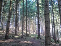 007   ein Blick nach oben