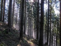 008   die letzten Nebelreste