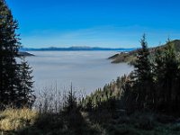 013   die Schneebedeckte Hohe Veitsch