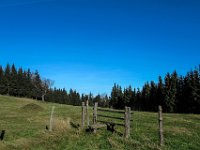 014   der Dornkogel ist erreicht