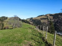 017   Hofbauer Dave, einfach Natur