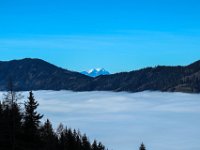 020   das Rennfeld und in Bildmitte der Raiting mit Goesseck