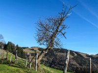 021   einfach nur schoen