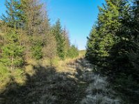 026   wunderbarer Wanderweg, noch etwas Raureif