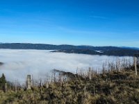 028   Blick zur Stanglalm und zum Stuhleck mit den Windraedern