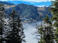 033   mein naechstes Ziel die Eibegger Huette ist gerade noch ueber dem  Nebel