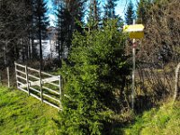 034   Abstieg zum Eibeggsattel