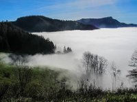 035   hier komme ich wieder hinein in den Nebel