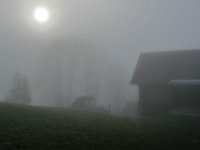 037   er hat aber auch seine Reitze