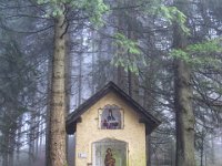 039   am Eibeggsattel ist ebenfalls Nebel