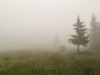 001 vom ersten Tag bis zum letzten beinahe das gleiche Wetter