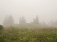 002 wir maschieren durch den Nebel