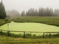 008 am naechsten Tag Aufstieg zum Hochwechsel vorbei an der Baerenlacke