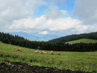 025 hier gibt es kurz auch ein wenig Aussicht zum Sonnwendstein