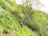 002   Uebergang auf die Mandelbauer Alm
