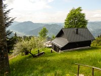 004   Mandlbauer Alm hier bluehen noch die Aepfelbaeume