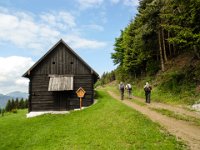 005   es geht vorbei an der Mandelbauer Alm