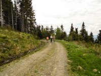 014   wir wandern ueber die Forststrasse