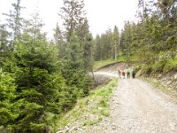 016    wir naehern uns dem Schutzhaus