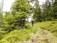 017   der letzte Anstieg