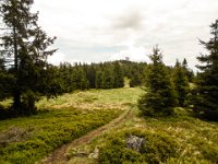 022   die Hochflaeche am Rennfeld Blick Richtung Osten