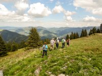 031   im Gaesemarsch mit Blick nach St. Erhard