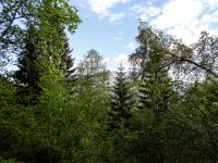 037   auch von hier sieht man den Hochlantsch