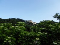 040  Anstelle der Runde rund ums Rennfeld wurde es heuer nur eine Halbrunde mit Aufstieg zum Rennfeldgipfel