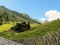 0010 - schoene Almen im Hintergrund der Braunedlkogel 1894 m