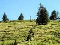 0092 - am fuenften Tag geht es ins Schigebiet Dachstein West