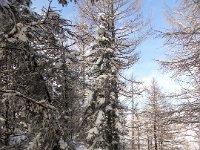 009-ueber den Kamm Richtung Hochlantschgipfel