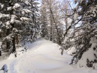 010-hier liegt doch sehr viel Schnee