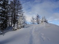 011-zu einem Aussichtspunkt