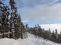 017-und wieder ein Blick zurueck