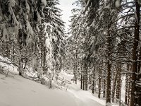 028-Abstieg am wunderschoenen Winterweg