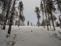 029-hier ganz oben war mein Aufstiegsweg