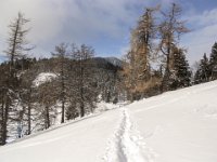 031-und ein Blick zurueck