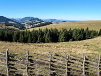 033 - Blick ueber die Alm