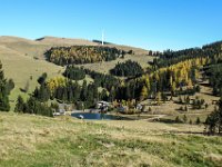038 - Blick Sommeralm mit Plankogel